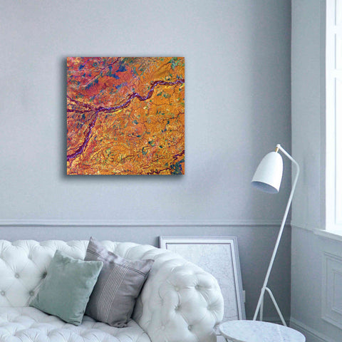 Image of 'Earth as Art: Capillaries,' Canvas Wall Art,37 x 37