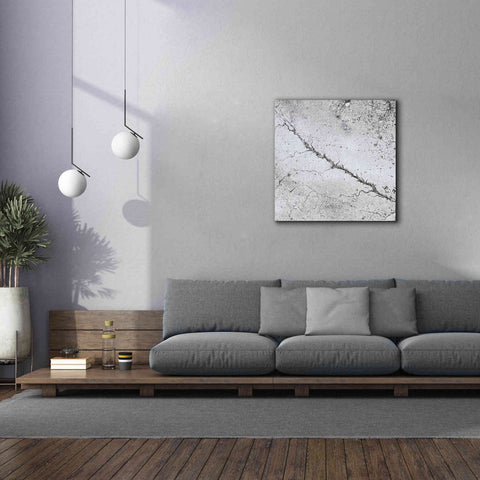 Image of 'Earth as Art: Bleak Midwinter,' Canvas Wall Art,37 x 37