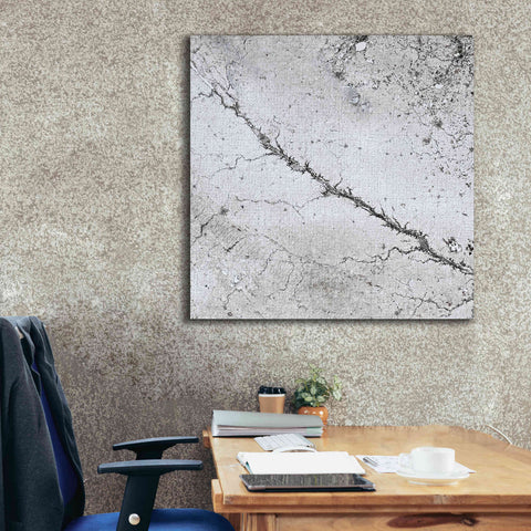 Image of 'Earth as Art: Bleak Midwinter,' Canvas Wall Art,37 x 37