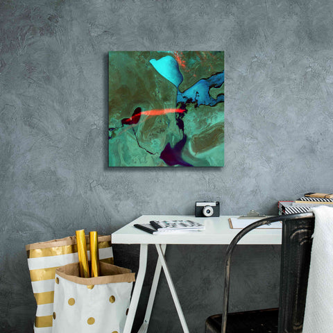 Image of 'Earth as Art: Bleeding Heart,' Canvas Wall Art,18 x 18