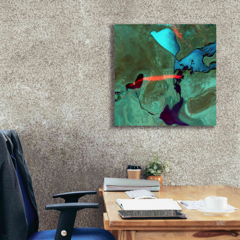 Image of 'Earth as Art: Bleeding Heart,' Canvas Wall Art,26 x 26