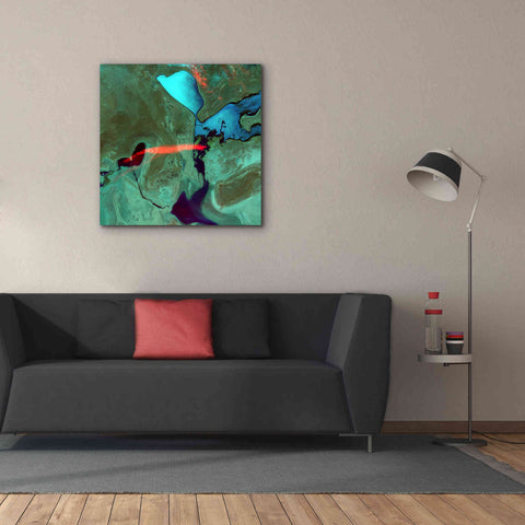 Image of 'Earth as Art: Bleeding Heart,' Canvas Wall Art,37 x 37