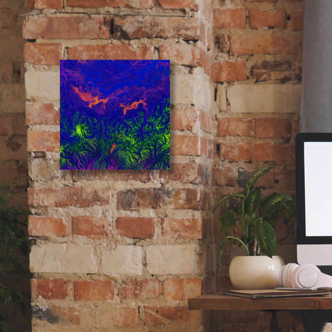 Image of 'Earth as Art: Fanciful Fluorescence,' Canvas Wall Art,12 x 12