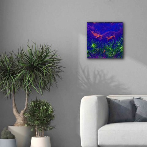 Image of 'Earth as Art: Fanciful Fluorescence,' Canvas Wall Art,18 x 18