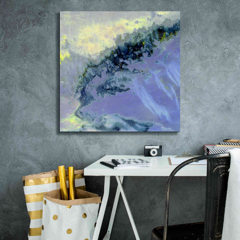 Image of 'Earth as Art: Lurking Madness,' Canvas Wall Art,26 x 26