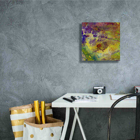 Image of 'Earth as Art: Sabotage,' Canvas Wall Art,12 x 12