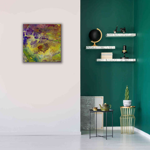 Image of 'Earth as Art: Sabotage,' Canvas Wall Art,26 x 26