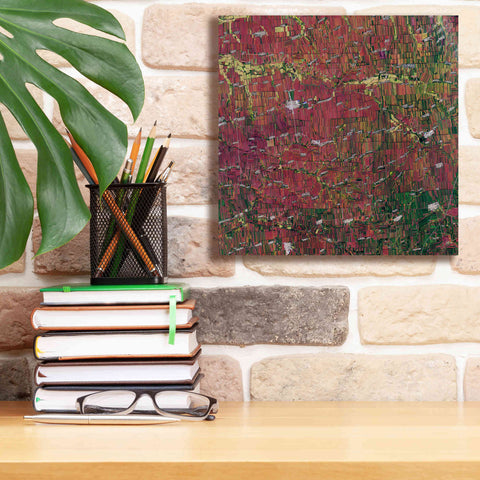 Image of 'Earth as Art: Shifting Shapes,' Canvas Wall Art,12 x 12