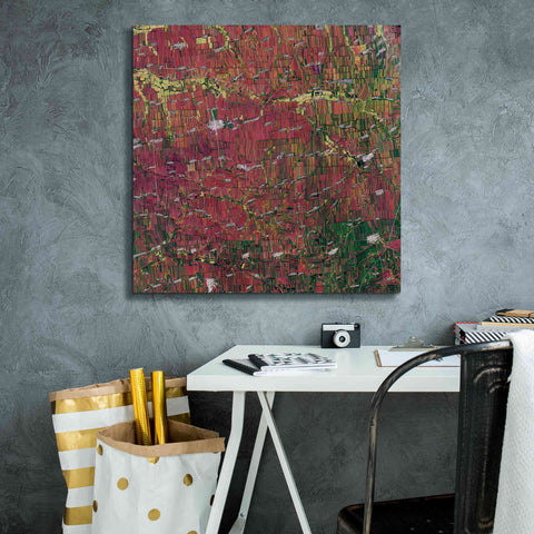 Image of 'Earth as Art: Shifting Shapes,' Canvas Wall Art,26 x 26
