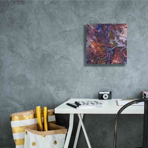 Image of 'Earth as Art: Tapestry,' Canvas Wall Art,12 x 12