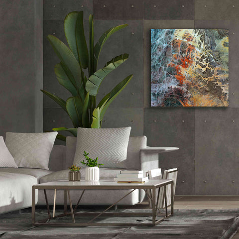 Image of 'Earth as Art: Unfriendly Landscape,' Canvas Wall Art,37 x 37