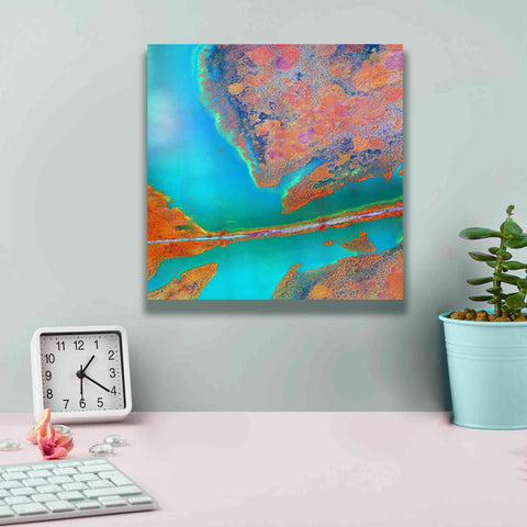 Image of 'Earth as Art: A Study in Algae,' Canvas Wall Art,12 x 12
