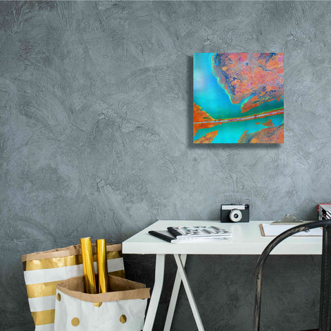 Image of 'Earth as Art: A Study in Algae,' Canvas Wall Art,12 x 12