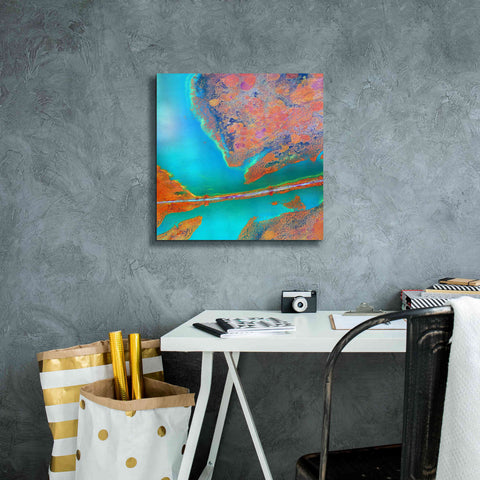 Image of 'Earth as Art: A Study in Algae,' Canvas Wall Art,18 x 18