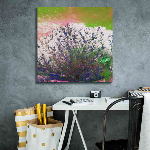 Image of 'Earth as Art: Fanned Out,' Canvas Wall Art,26 x 26