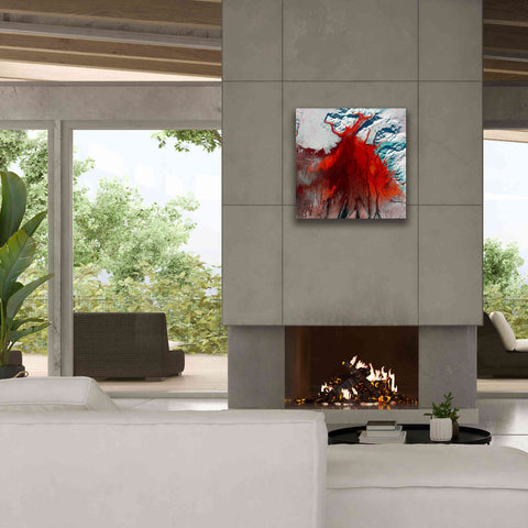 Image of 'Earth as Art: Outburst,' Canvas Wall Art,26 x 26