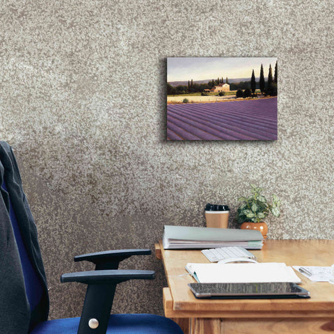 Image of Epic Art 'Lavender Fields II' by James Wiens, Canvas Wall Art,16 x 12