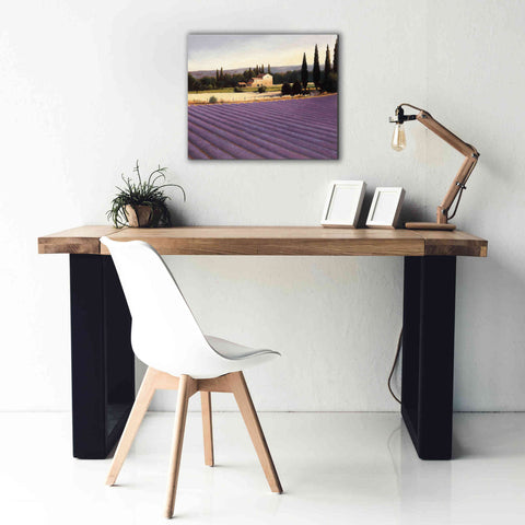 Image of Epic Art 'Lavender Fields II' by James Wiens, Canvas Wall Art,24 x 20