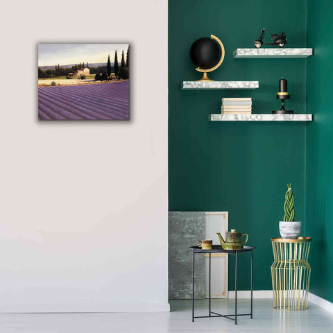 Image of Epic Art 'Lavender Fields II' by James Wiens, Canvas Wall Art,24 x 20