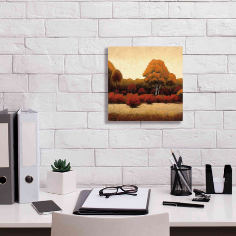 Image of Epic Art 'Autumn Forest I' by James Wiens, Canvas Wall Art,12 x 12