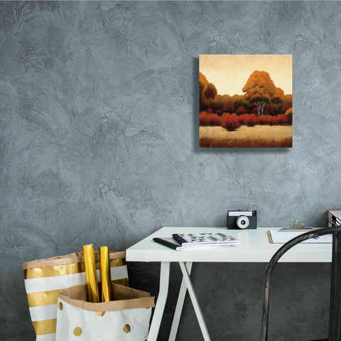 Image of Epic Art 'Autumn Forest I' by James Wiens, Canvas Wall Art,12 x 12