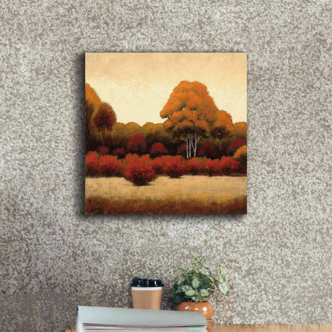 Image of Epic Art 'Autumn Forest I' by James Wiens, Canvas Wall Art,18 x 18