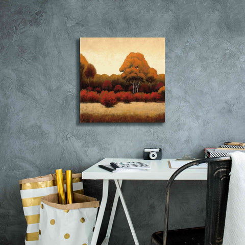 Image of Epic Art 'Autumn Forest I' by James Wiens, Canvas Wall Art,18 x 18