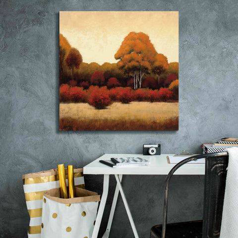 Image of Epic Art 'Autumn Forest I' by James Wiens, Canvas Wall Art,26 x 26