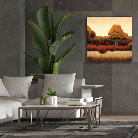 Image of Epic Art 'Autumn Forest I' by James Wiens, Canvas Wall Art,37 x 37
