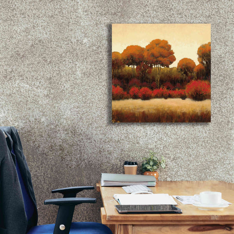 Image of Epic Art 'Autumn Forest II' by James Wiens, Canvas Wall Art,26 x 26