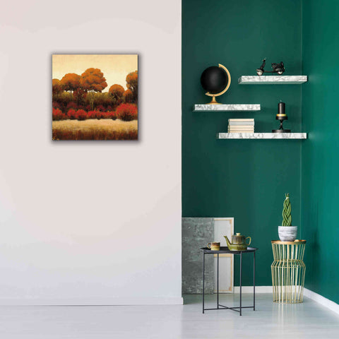 Image of Epic Art 'Autumn Forest II' by James Wiens, Canvas Wall Art,26 x 26