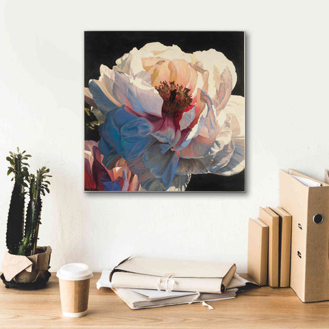 Image of Epic Art 'Morning Glow I' by James Wiens, Canvas Wall Art,18 x 18