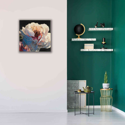 Image of Epic Art 'Morning Glow I' by James Wiens, Canvas Wall Art,26 x 26