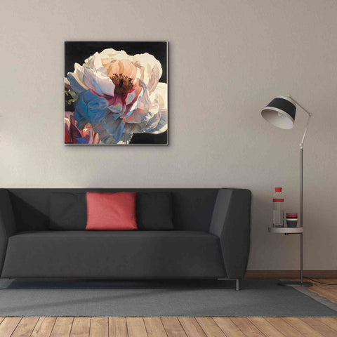 Image of Epic Art 'Morning Glow I' by James Wiens, Canvas Wall Art,37 x 37