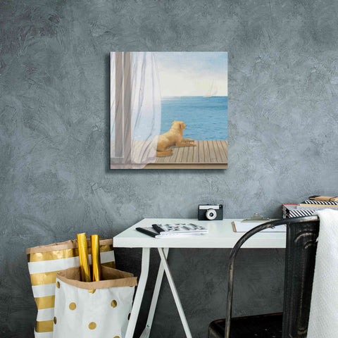 Image of Epic Art 'Blue Breeze II' by James Wiens, Canvas Wall Art,18 x 18