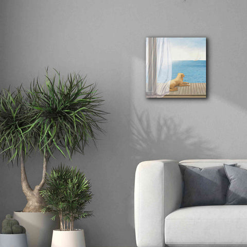 Image of Epic Art 'Blue Breeze II' by James Wiens, Canvas Wall Art,18 x 18