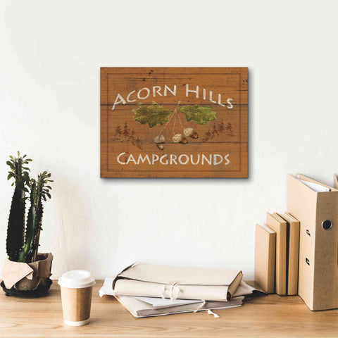 Image of Epic Art 'Lodge Signs I' by James Wiens, Canvas Wall Art,16 x 12