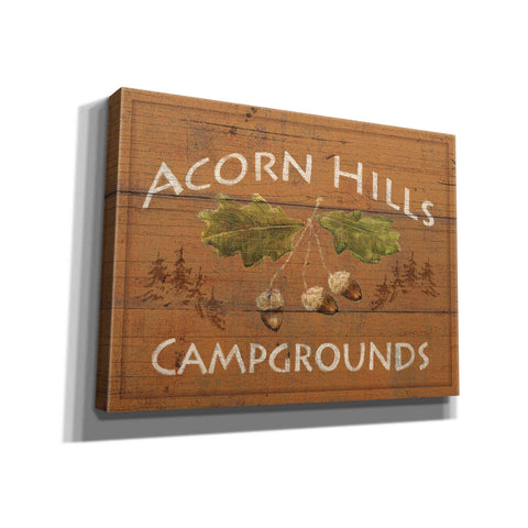 Image of Epic Art 'Lodge Signs I' by James Wiens, Canvas Wall Art,16x12x1.1x0,24x20x1.1x0,30x26x1.74x0,54x40x1.74x0