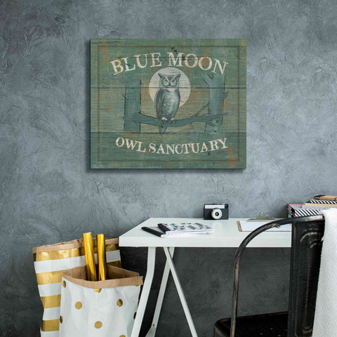 Image of Epic Art 'Lodge Signs VII' by James Wiens, Canvas Wall Art,24 x 20