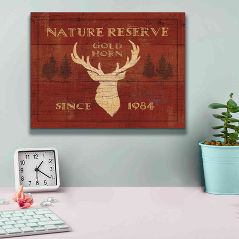 Image of Epic Art 'Lodge Signs IX' by James Wiens, Canvas Wall Art,16 x 12