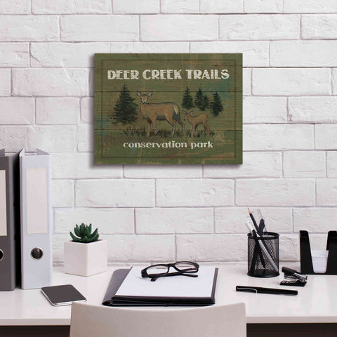 Image of Epic Art 'Lodge Signs VIII' by James Wiens, Canvas Wall Art,16 x 12