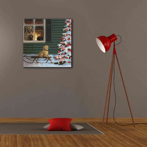 Image of Epic Art 'Make a Wish' by James Wiens, Canvas Wall Art,26 x 26