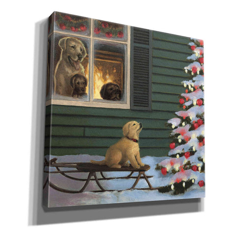 Image of Epic Art 'Make a Wish' by James Wiens, Canvas Wall Art,12x12x1.1x0,18x18x1.1x0,26x26x1.74x0,37x37x1.74x0
