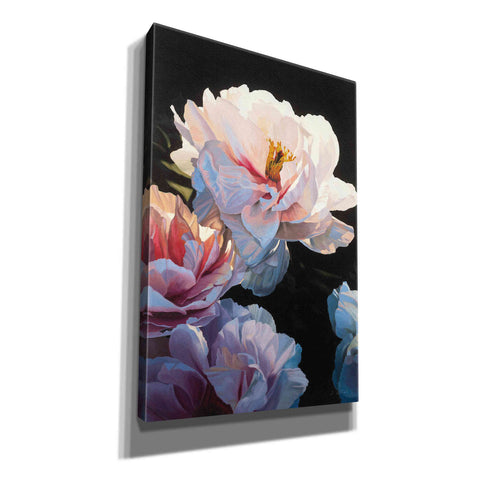 Image of Epic Art 'Morning Glow II' by James Wiens, Canvas Wall Art,12x18x1.1x0,18x26x1.1x0,26x40x1.74x0,40x60x1.74x0