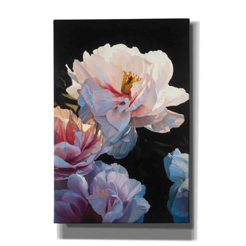 Image of Epic Art 'Morning Glow II' by James Wiens, Canvas Wall Art,12x18x1.1x0,18x26x1.1x0,26x40x1.74x0,40x60x1.74x0