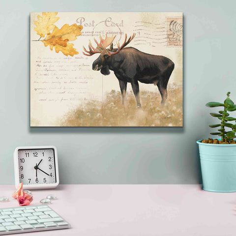 Image of Epic Art 'Northern Wild Moose' by James Wiens, Canvas Wall Art,16 x 12