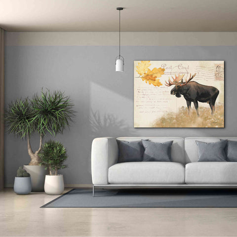 Image of Epic Art 'Northern Wild Moose' by James Wiens, Canvas Wall Art,54 x 40