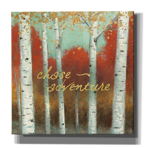 Image of 'Fall Promenade II' by James Wiens, Canvas Wall Art,12x12x1.1x0,18x18x1.1x0,26x26x1.74x0,37x37x1.74x0