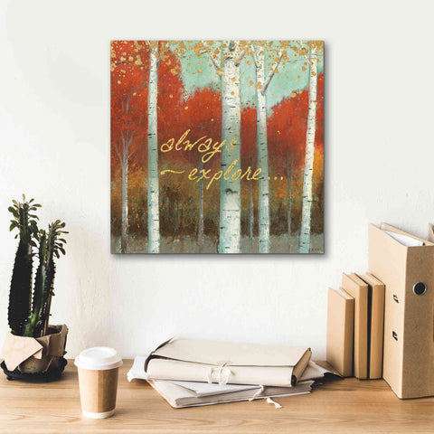 Image of 'Fall Promenade III' by James Wiens, Canvas Wall Art,18 x 18