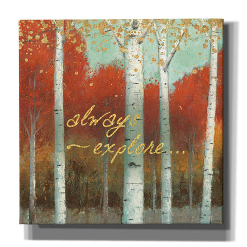 Image of 'Fall Promenade III' by James Wiens, Canvas Wall Art,12x12x1.1x0,18x18x1.1x0,26x26x1.74x0,37x37x1.74x0